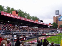 Pauli vs HSV2 05-06 004